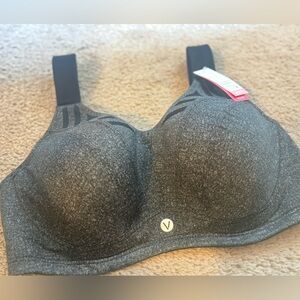 lane bryant bra